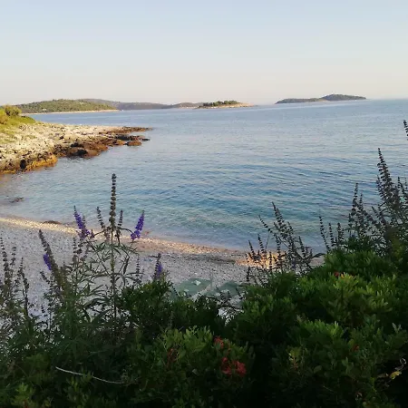 Гостевой дом Perla Dalmatica 4*