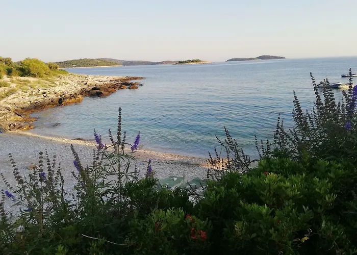 Guest house Perla Dalmatica 4*