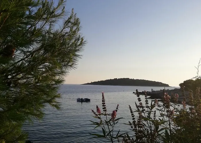 Perla Dalmatica 게스트하우스